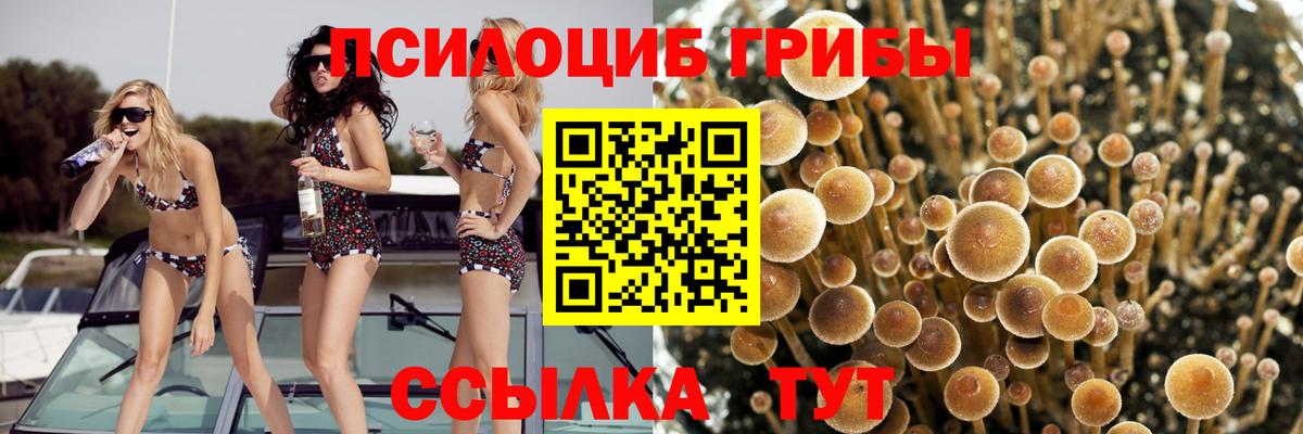 Псилоцибиновые грибы прущие грибы  Псилоцибиновые грибы MAGIC MUSHROOMS  как найти закладки  Вход с VPN  Моздок 